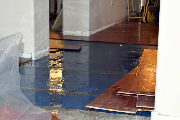 Professional Basement Water Removal technician working in Washburn, ND