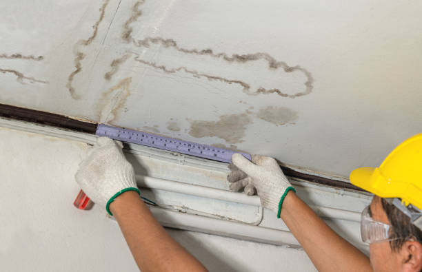 Reliable Basement Water Removal contractor in Washburn, ND by Water Damage Irwin